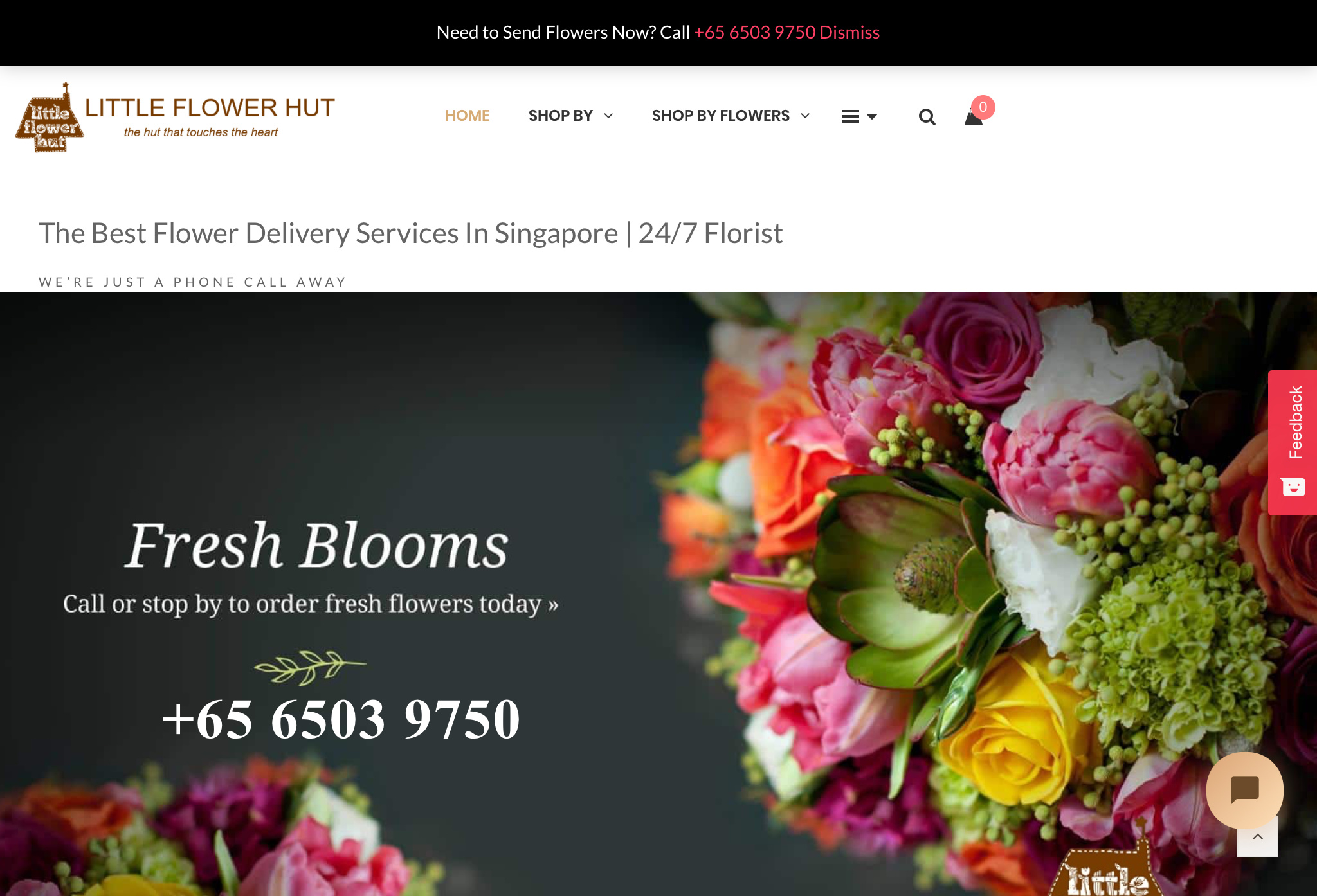 Trusted Gift Reviews - Little Flower Hut