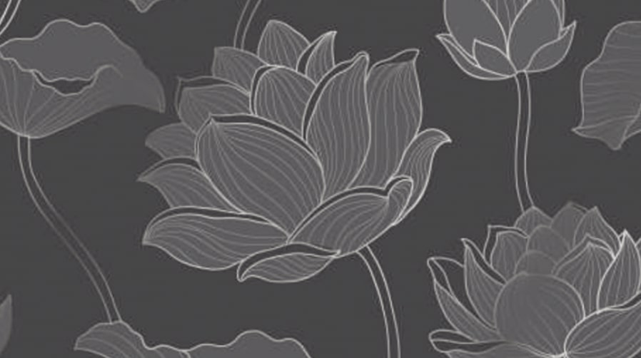 Abstract Lotus Flower Ultra - 3D, Black Lotus HD wallpaper | Pxfuel