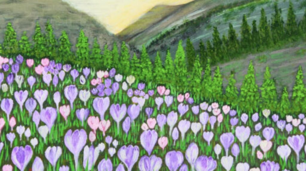 The Cultural Significance of Crocus Flowers