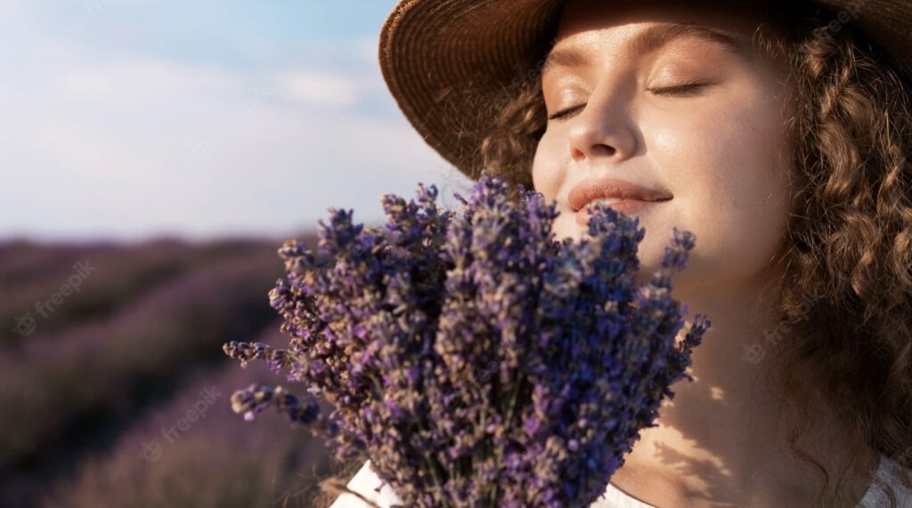 Lavender Colors and Their Meanings