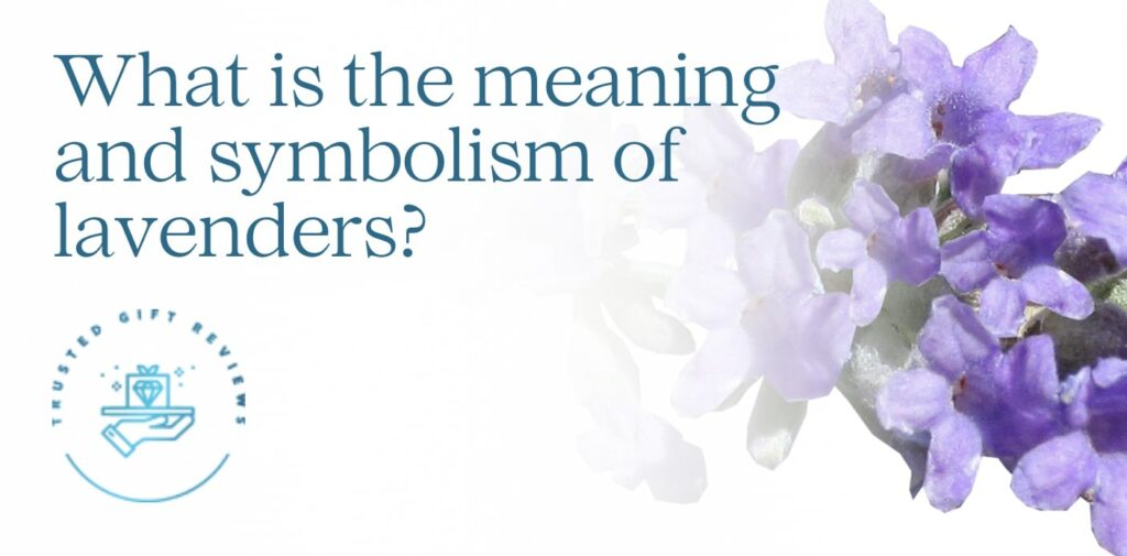 What is the meaning and symbolism of lavenders