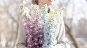 Delphinium Meanings by Color