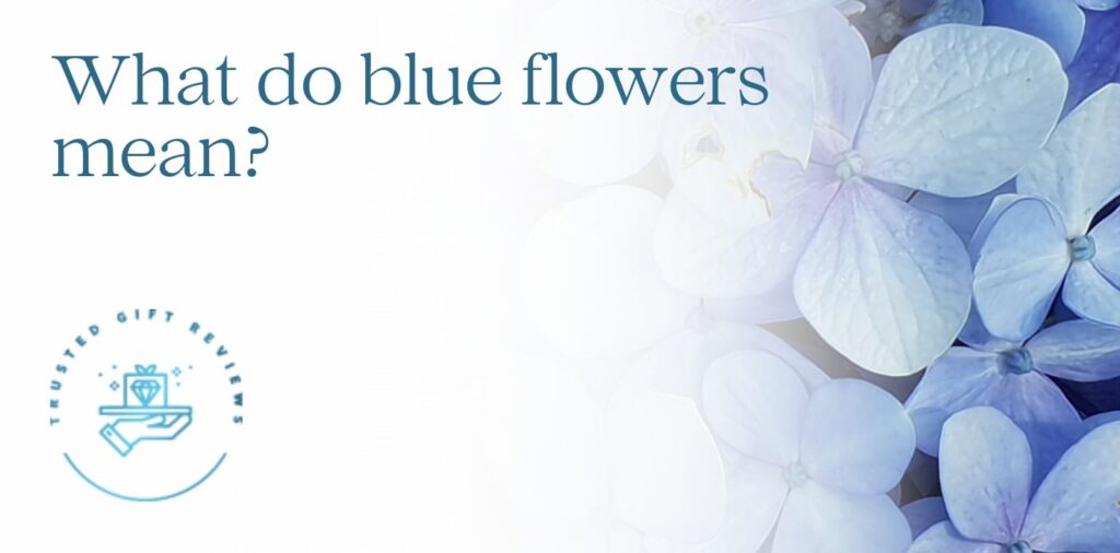 What do blue flowers mean