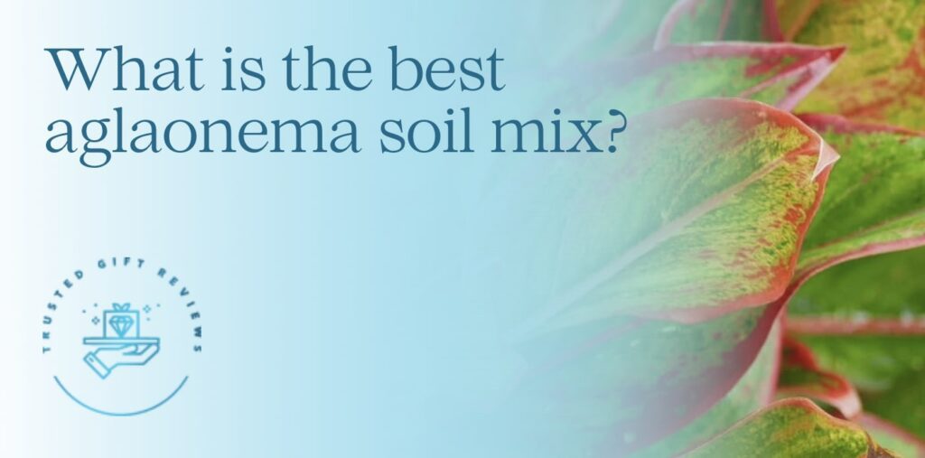 What is the best aglaonema soil mix