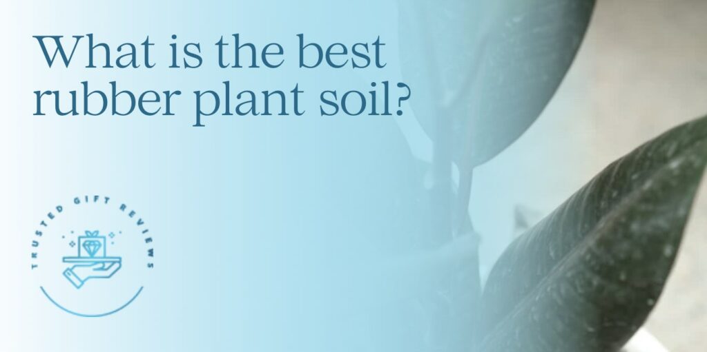What is the best rubber plant soil