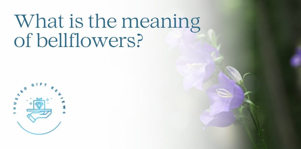 What is the meaning of bellflowers