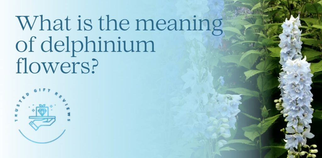 What is the meaning of delphinium flowers