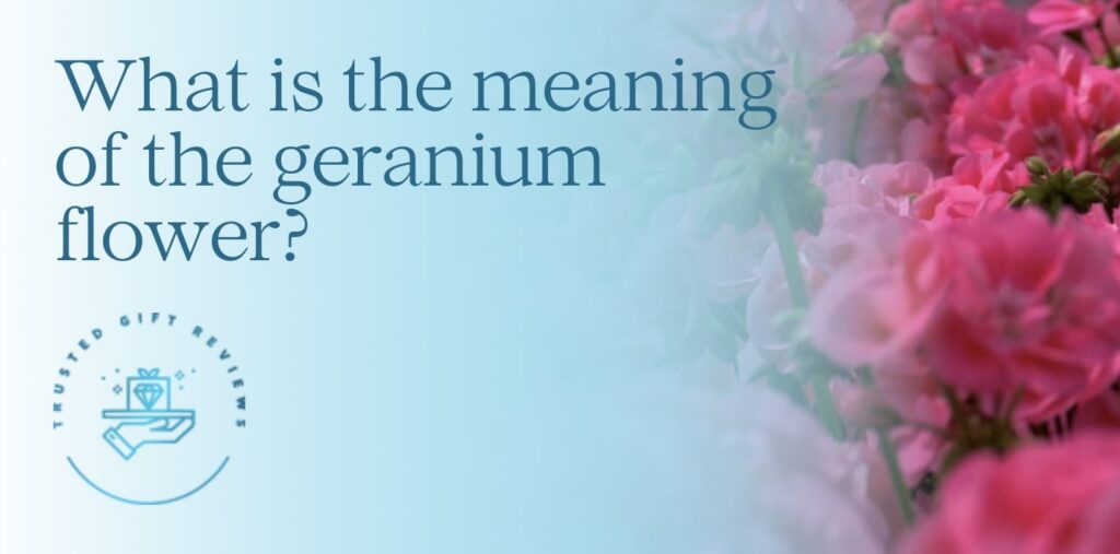 What is the meaning of geranium flowers