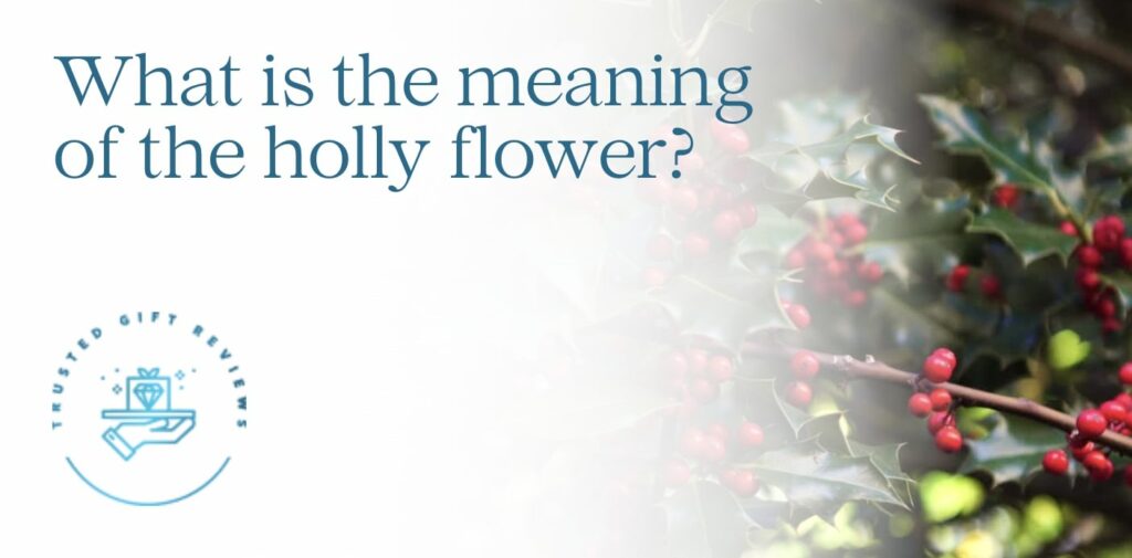 What is the meaning of the holly flower