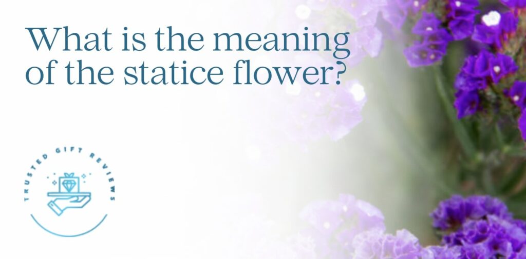 What is the meaning of the statice flower