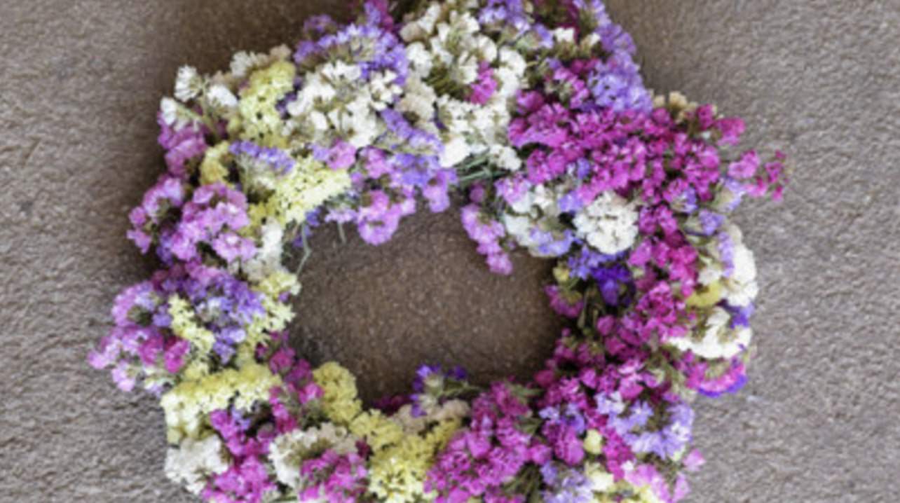 What is the meaning of the statice flower? [2026]