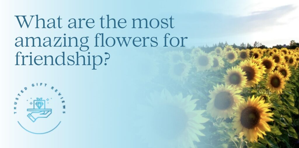 What are the most amazing flowers for friendship