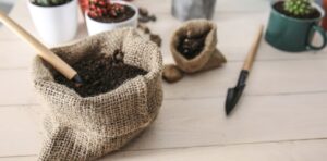 What commercial soil can I use for bird-of-paradise