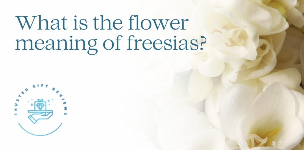 What is the meaning of freesias