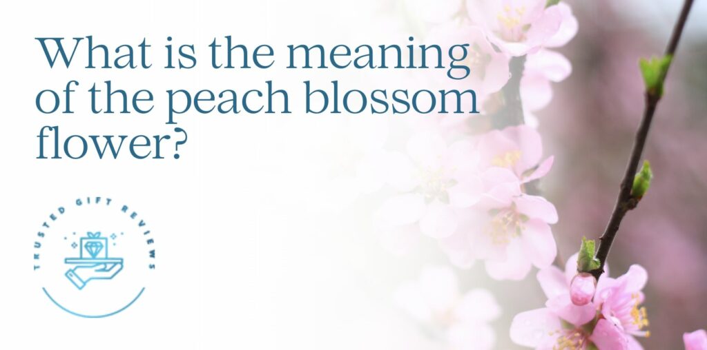 What is the meaning of the peach blossom flower