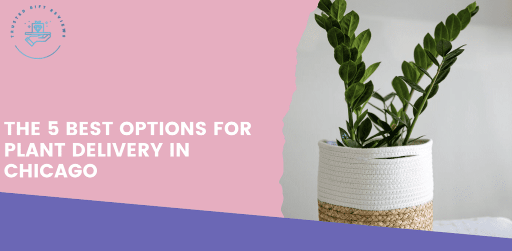 8 Best Options for Plant Delivery in Chicago