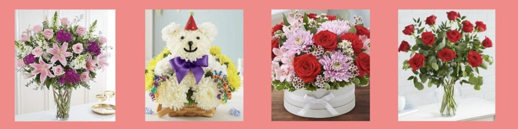 All Flowered Up Too's Homepage