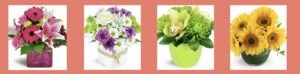 Awesome Blossom's Homepage