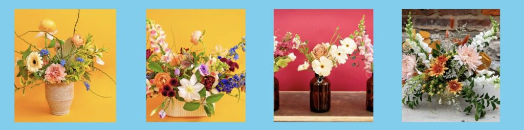 Daisy Jane’s Flower Bar's Homepage