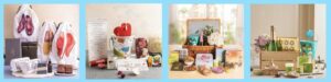 Dottedi's Homepage