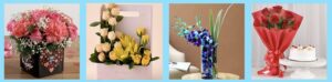 Ferns N Petals Homepage