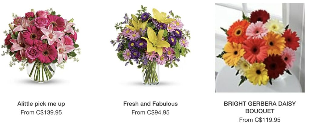 Fine’s Flowers Homepage
