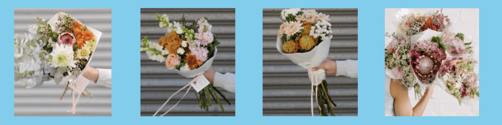 Petal & Post's Homepage