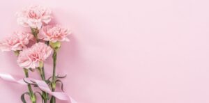 Pink Carnations
