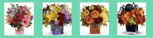 Skyway Creations Homepage