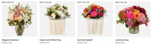 The Flower Delivery Company's Homepage
