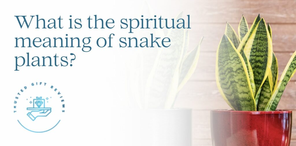 What is the spiritual meaning of snake plants
