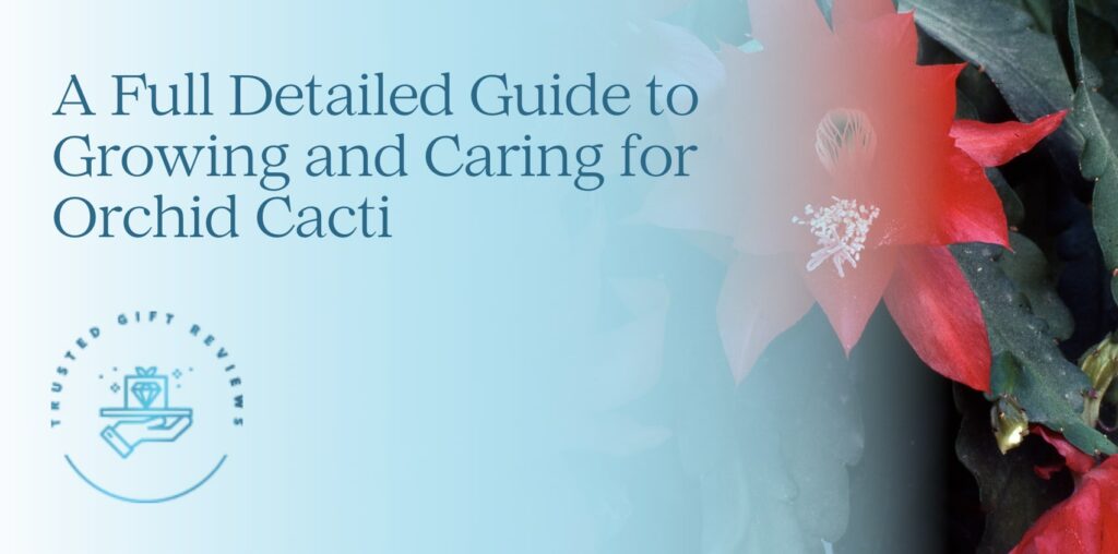 A Full Detailed Guide to Growing and Caring for Orchid Cacti