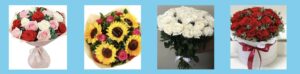 Flordel Florist's Homepage