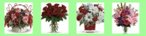 Capitol Hill Florist, Gifts & Flower Delivery's Homepage