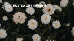 Basic Facts about the Aster