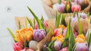 Tulips