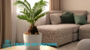 What are the benefits of indoor palm trees
