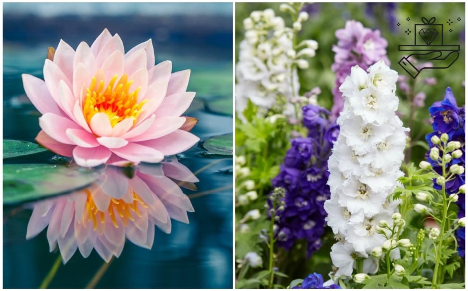 July’s Floral Charms Larkspur and Water Lily