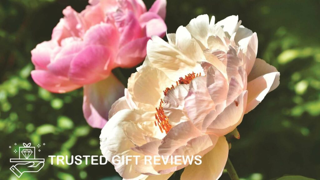 Celebrating November Babies Guide to November Birth Flowers