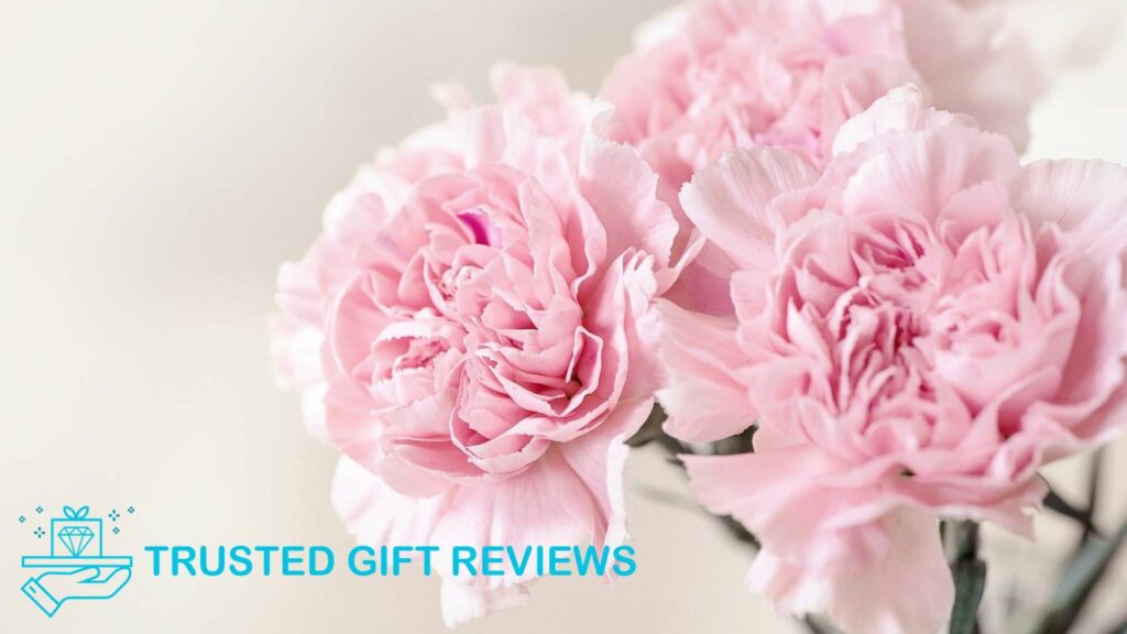 From Mother’s Love to Death The Many Meanings of Carnations