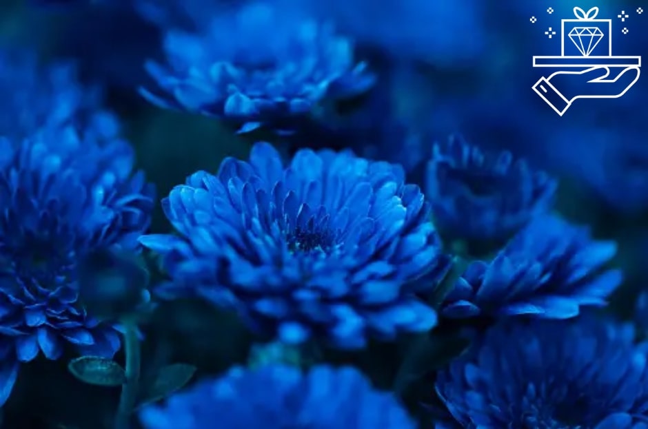 The Allure of Blue Flowers