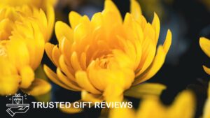 What do the colors of chrysanthemums mean