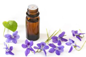 Can violet flowers be used for medicinal purposes