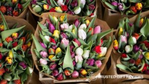 What is the NYC NYC Flower District