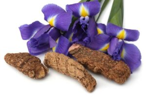 Can iris flowers be used for medicinal purposes