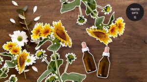 Can sunflowers be used for medicinal purposes
