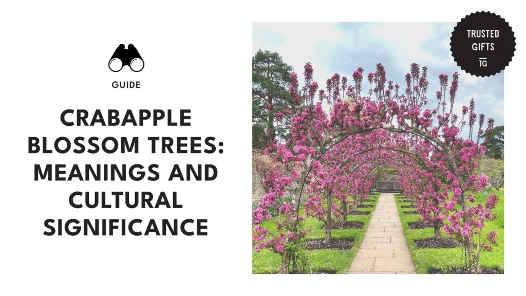 Crabapple Blossom Trees Meanings That Go beyond Beauty