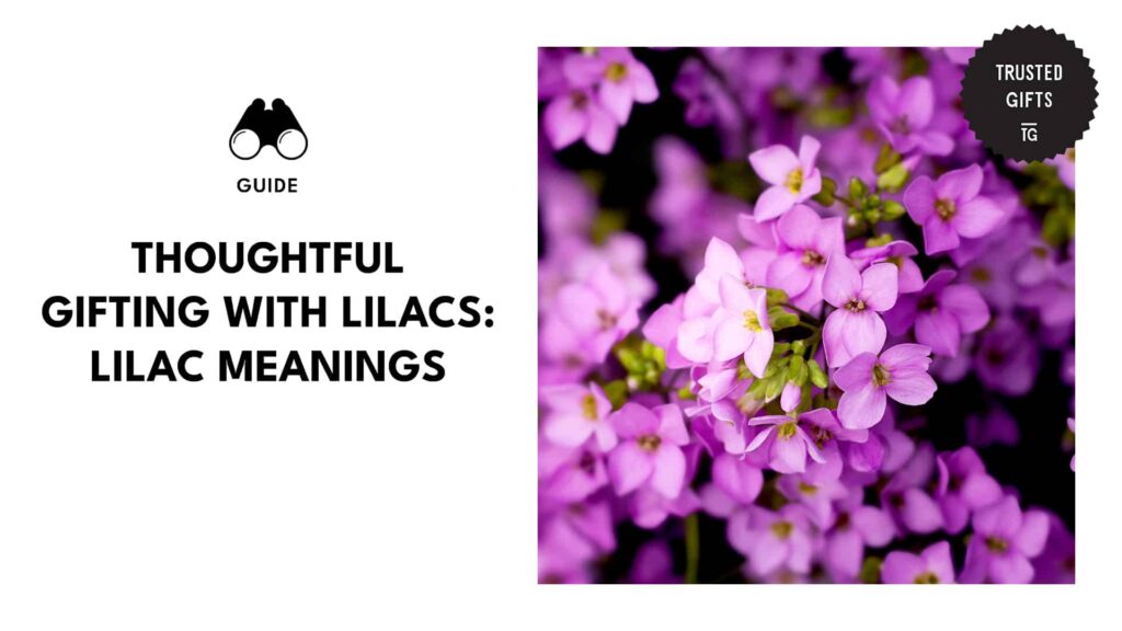 Gifts of Youth and Joy Lilac Meaning