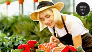 How did the begonia flower get its name
