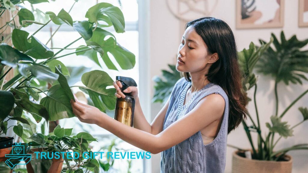 Monstera Plants An Experienced Gardener’s Watering Guide